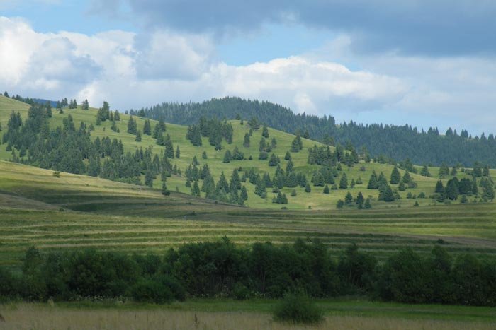 De la obârşie la bucuria existenţei depline 93510