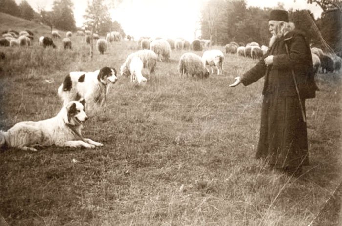 Părintele Cleopa Ilie la începutul regimului comunist 93581