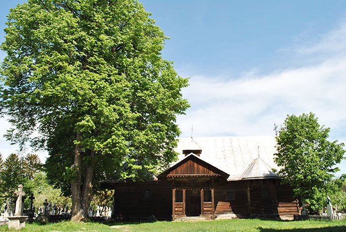 Tezaurul pictural al lăcaşului în lemn de la Horodnic de Sus 93607