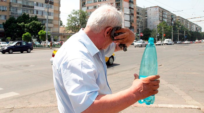 Cod galben de caniculă 94056