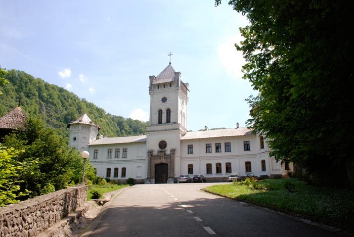 Un volum despre teologia Sfântului Dionisie 94144