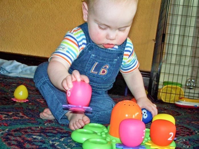 Sugarii au capacitatea de a percepe numărul de obiecte dintr-un grup 94179