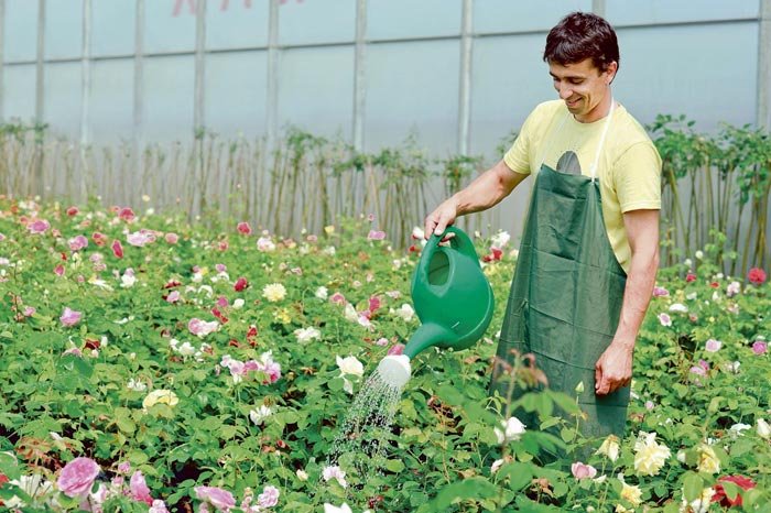 Potenţialul economic al României, în creştere 94226