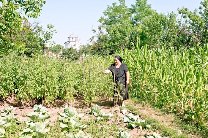 În căutarea spiritului strămoşilor moşneni 94413