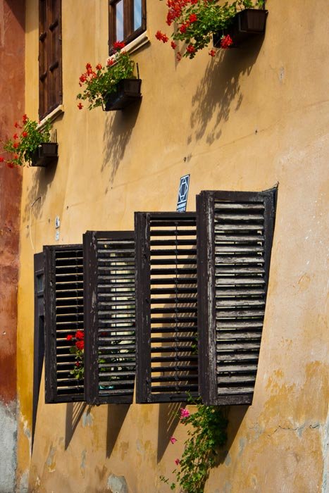 Ferestre spre pieire 94458