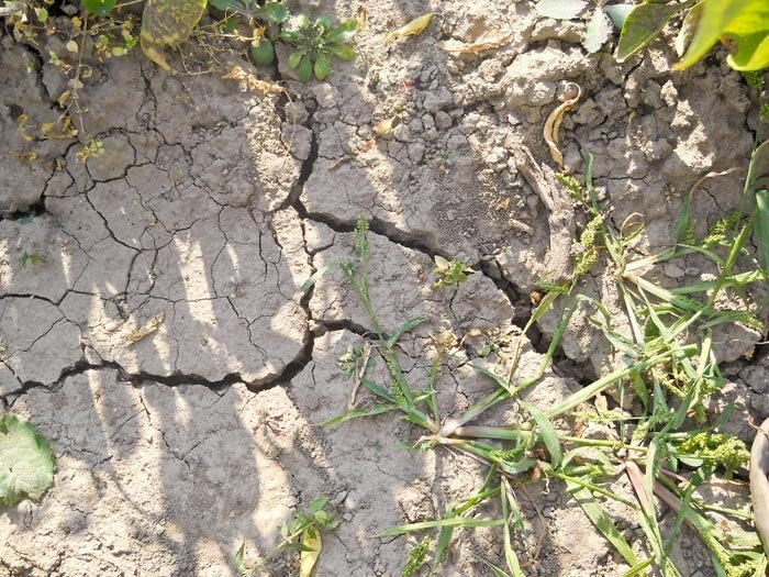 Seceta a pus stăpânire peste România 94482