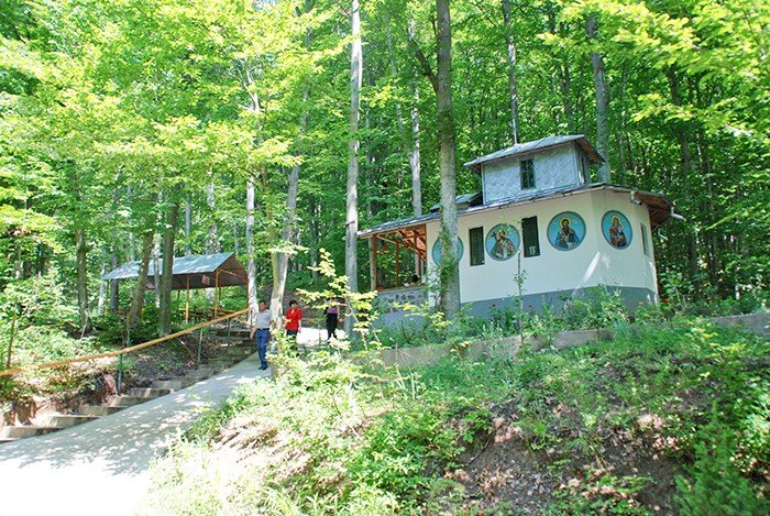 Minunile credinţei şi ale nădejdii adevărate 91264