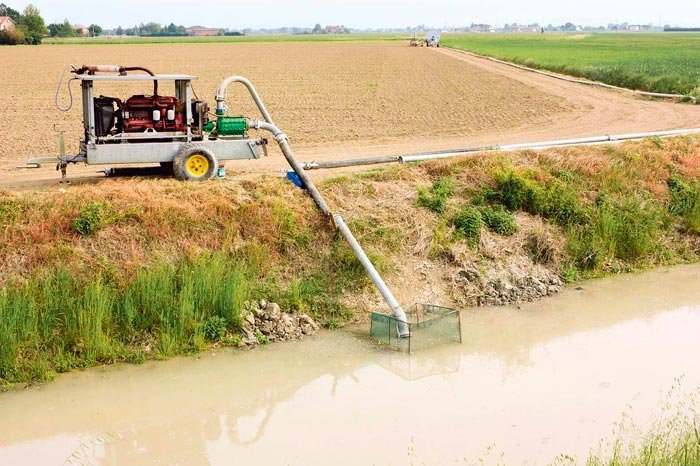 Recolta din acest an, compromisă în multe zone 91193