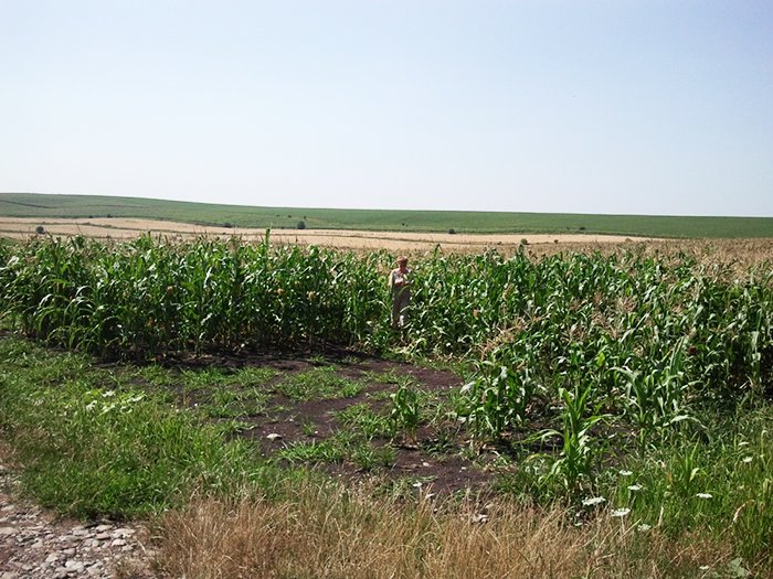 Seceta se prelungeşte 90225