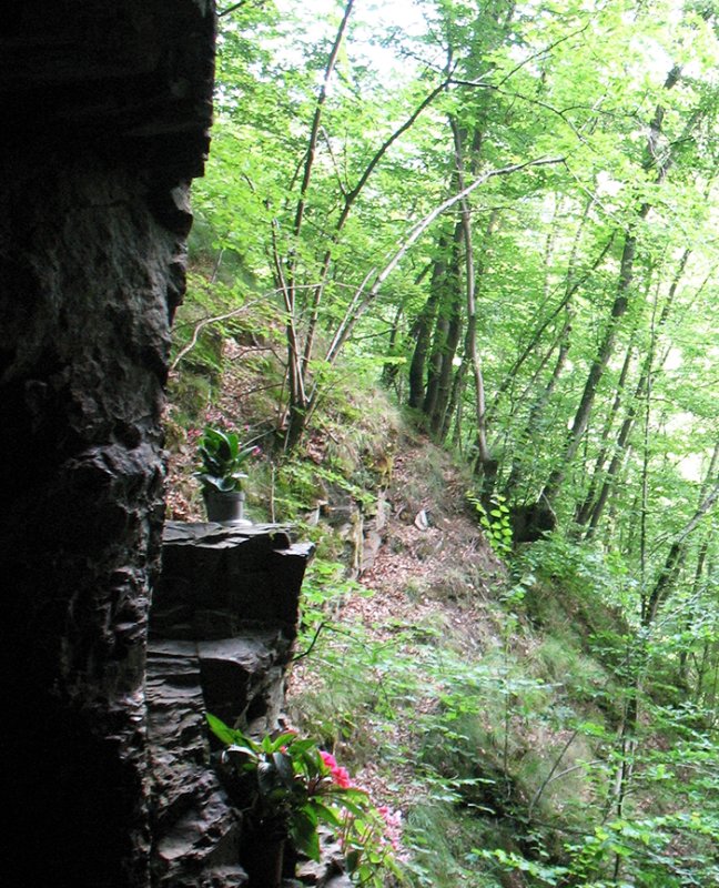 Fenomenologie, Participare, Liturghie 90239