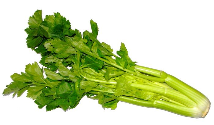 Despre efectele tămăduitoare ale frunzelor şi rădăcinilor de ţelină 90249
