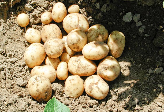 Inflaţie pozitivă în iulie 90370