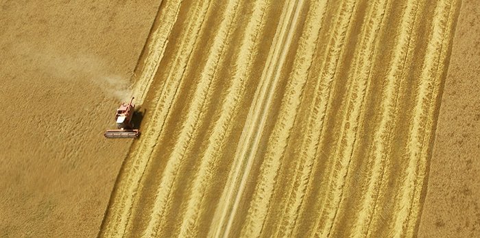 Produsele agricole se vor scumpi 90390