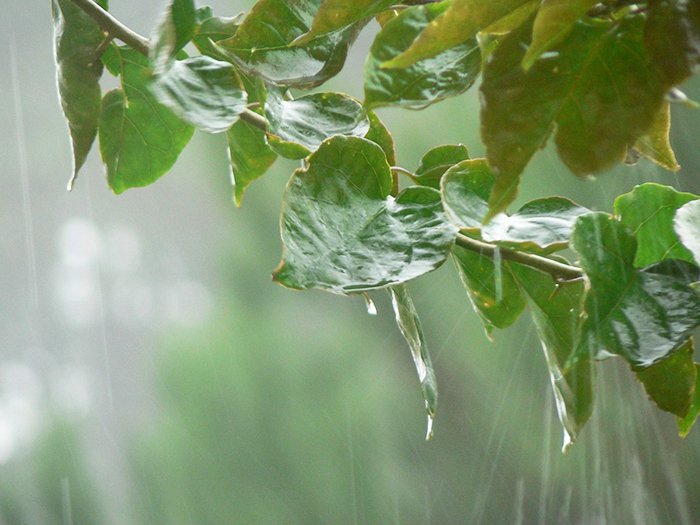 De luni, temperaturile coboară spre 30 de grade 90519