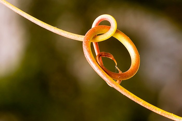 Tainele raţiunii şi veşmântul matematic al universului 90566