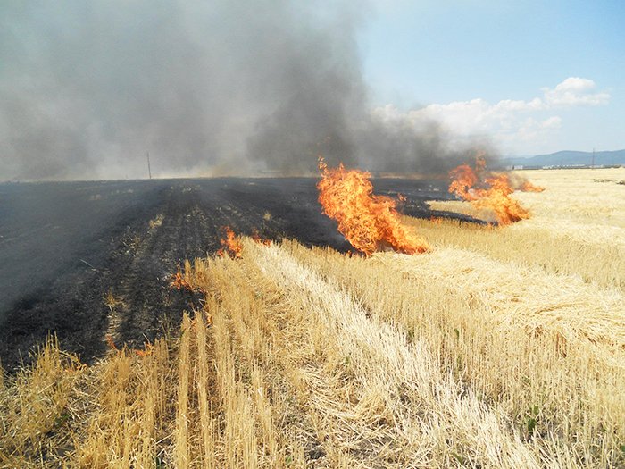 Un an catastrofal pentru Balcani 90575