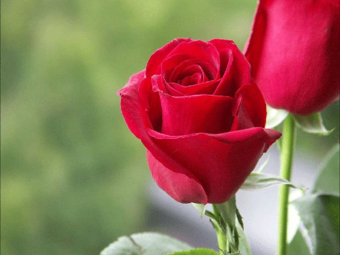 Cunoaşterea de sine şi iubirea 90847