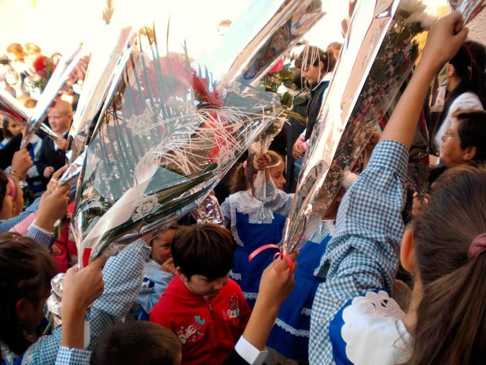 Clasa pregătitoare ar putea reveni la grădiniţă 90953