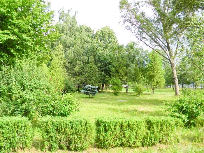 Rătăcind prin tăcere 91008