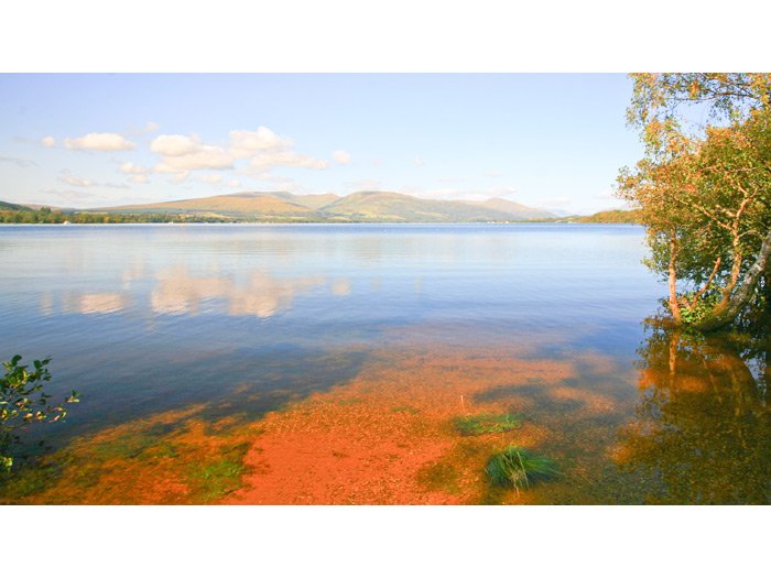 Multitaskingul: între pluriconcentrare şi pierderea atenţiei 91042