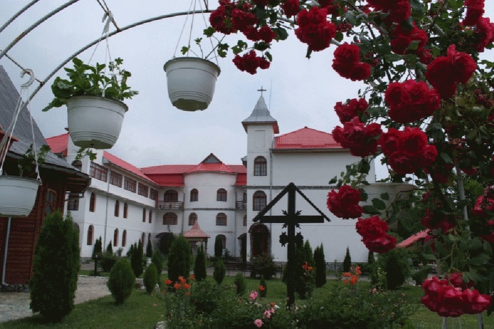 Un adevărat rai pentru bătrânii părăsiţi de familii 89963