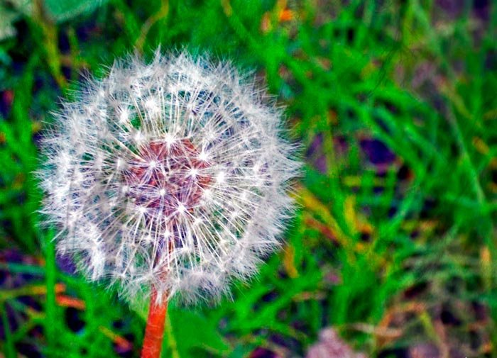 Simplificarea vieţii ajută la dobândirea echilibrului 89439