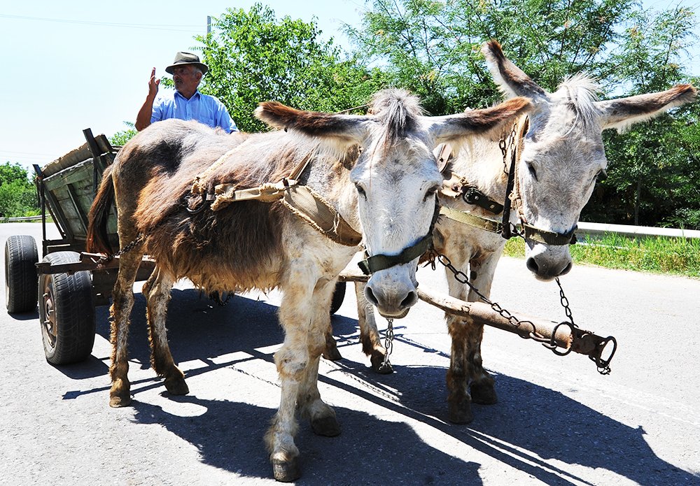 Îmbătrânirea şi migraţia, drama satelor româneşti 89621