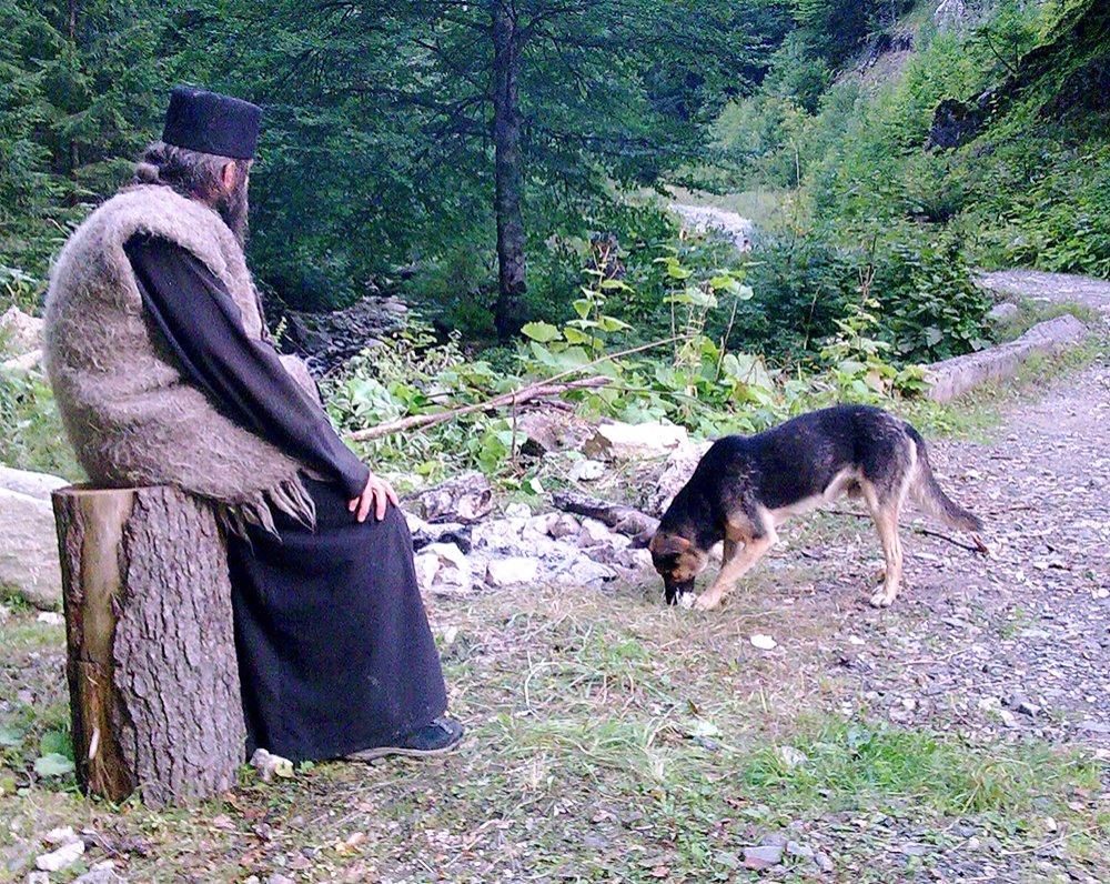 O noapte de rugăciune în pustie 89151