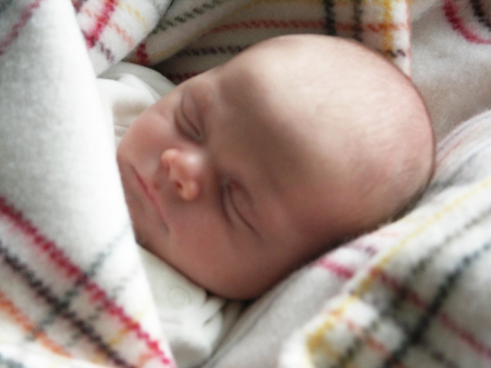 Paşi spre maturitate 89041