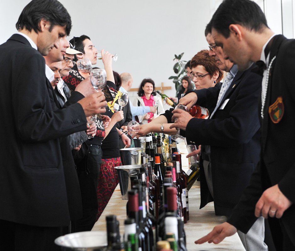 Italienii vor să producă în România cel mai bun vin 89101