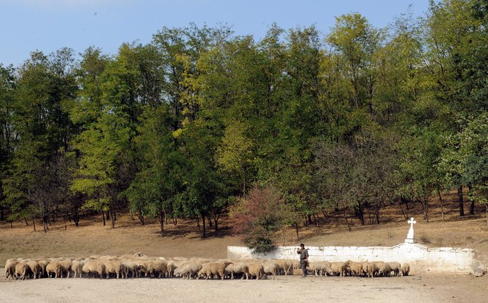 Cişmelele dobrogene, locuri izvorâtoare de viaţă 88145