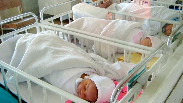 Cele mai multe adopţii finalizate au fost în Bucureşti 88179