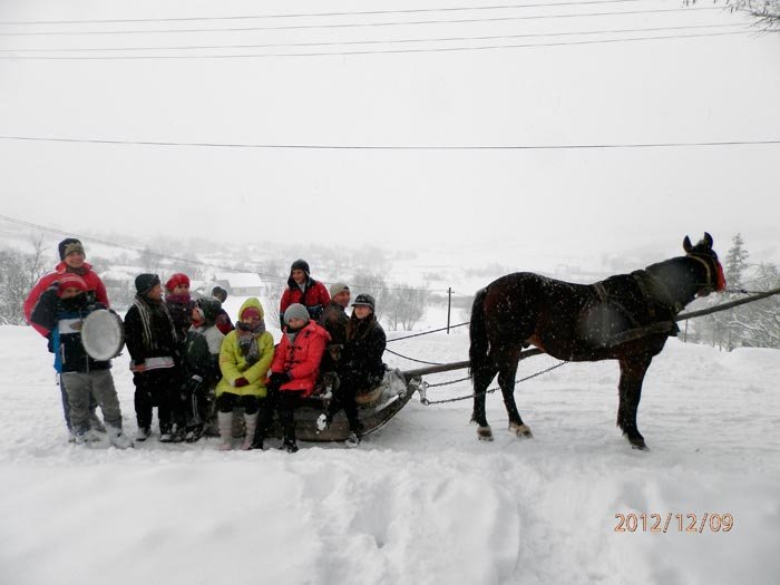 Vestirea Naşterii Domnului în două parohii din Protopopiatul Darabani 88456