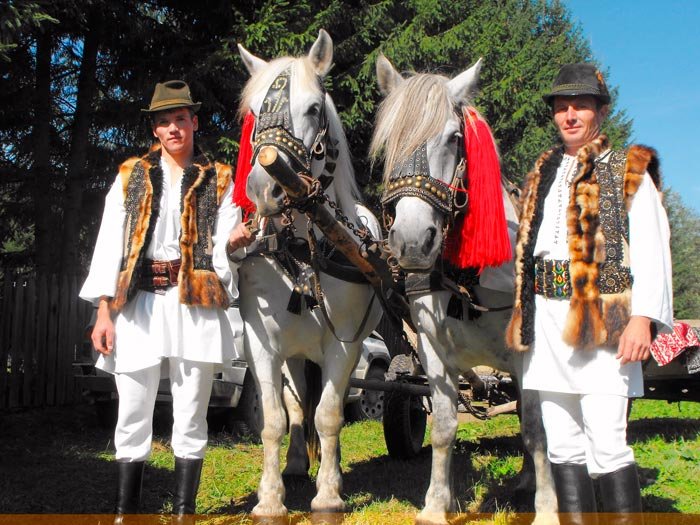 O mină de aur 88486