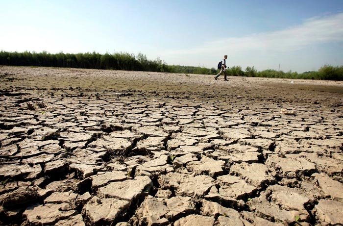 2012, un an în care seceta a afectat grav agricultura românească 88675