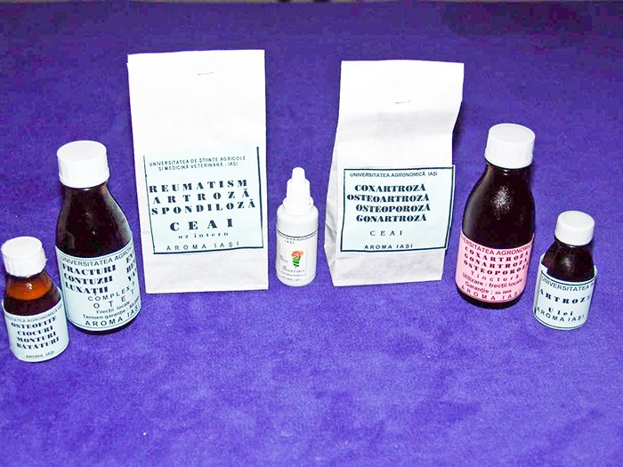 Forme de utilizare internă a plantelor medicinale 88783