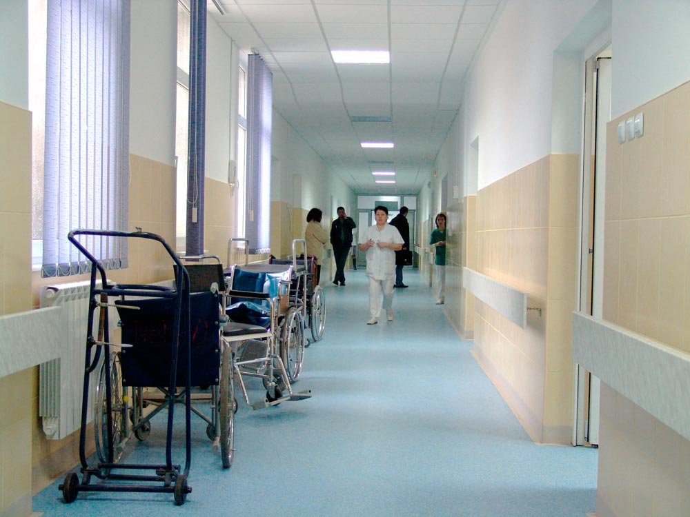 Statistici îngrijorătoare 88054