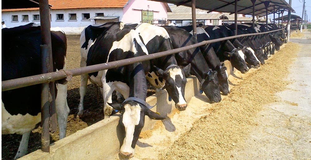 Statul va impozita mai mulţi agricultori 88049