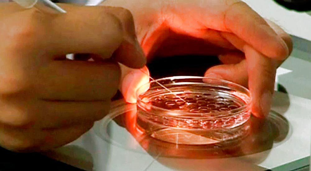 O provocare străină principiilor şi valorilor Bisericii noastre 87982