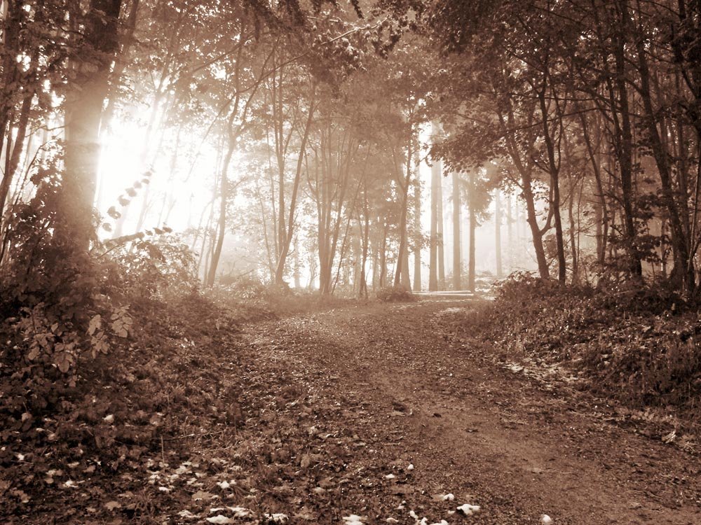 În aparenţă 87807