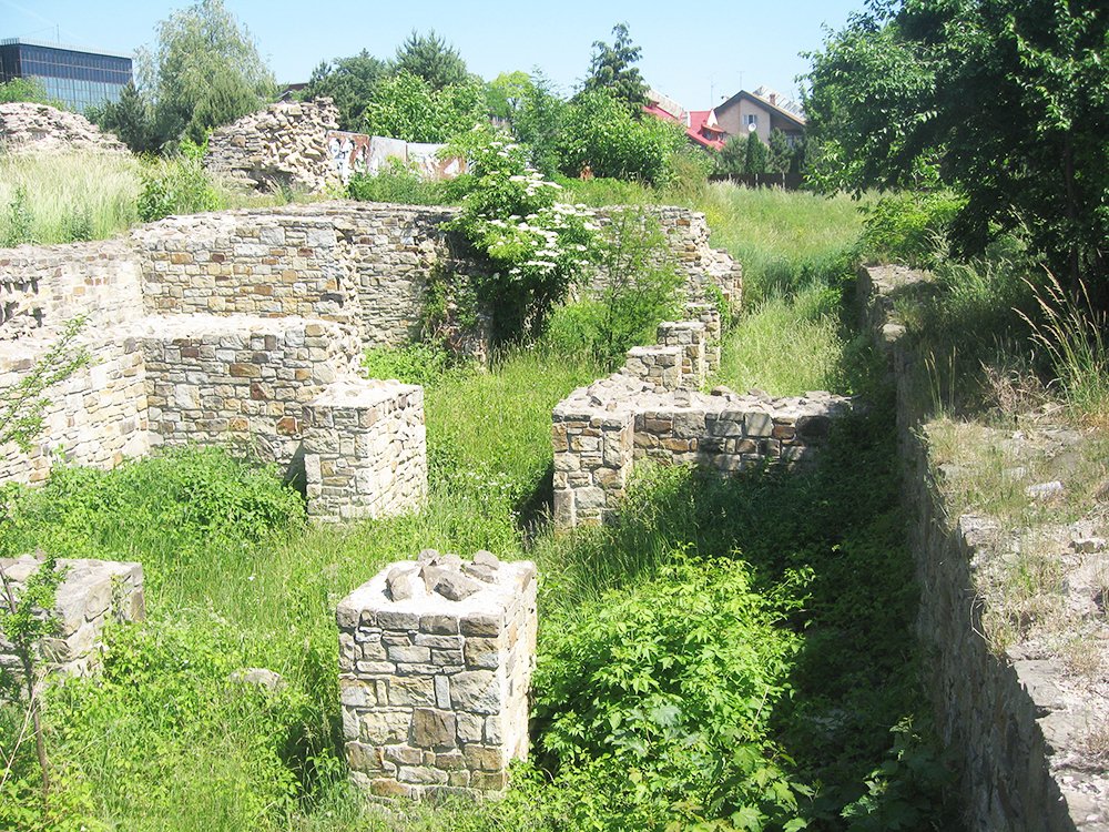 Proiect de reabilitare a Curţii Domneşti din Suceava 87612