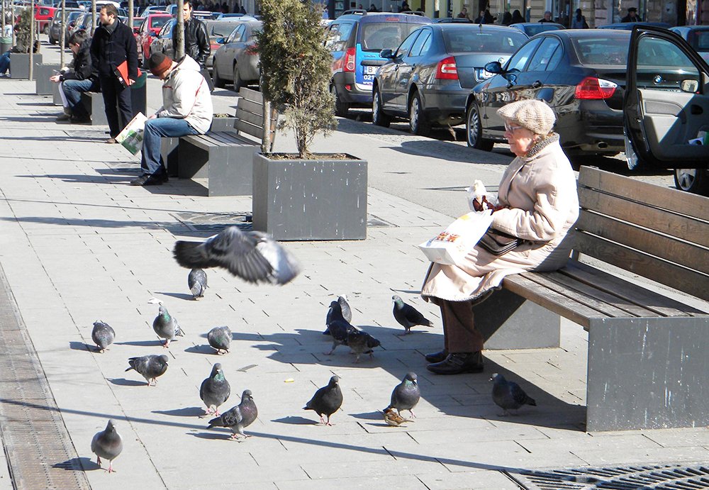 Cum va fi vremea în intervalul martie-mai 87589