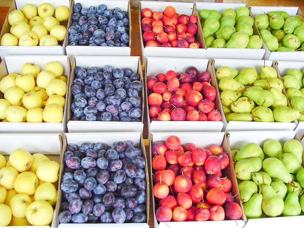 Ce factori accelerează îmbătrânirea 87187