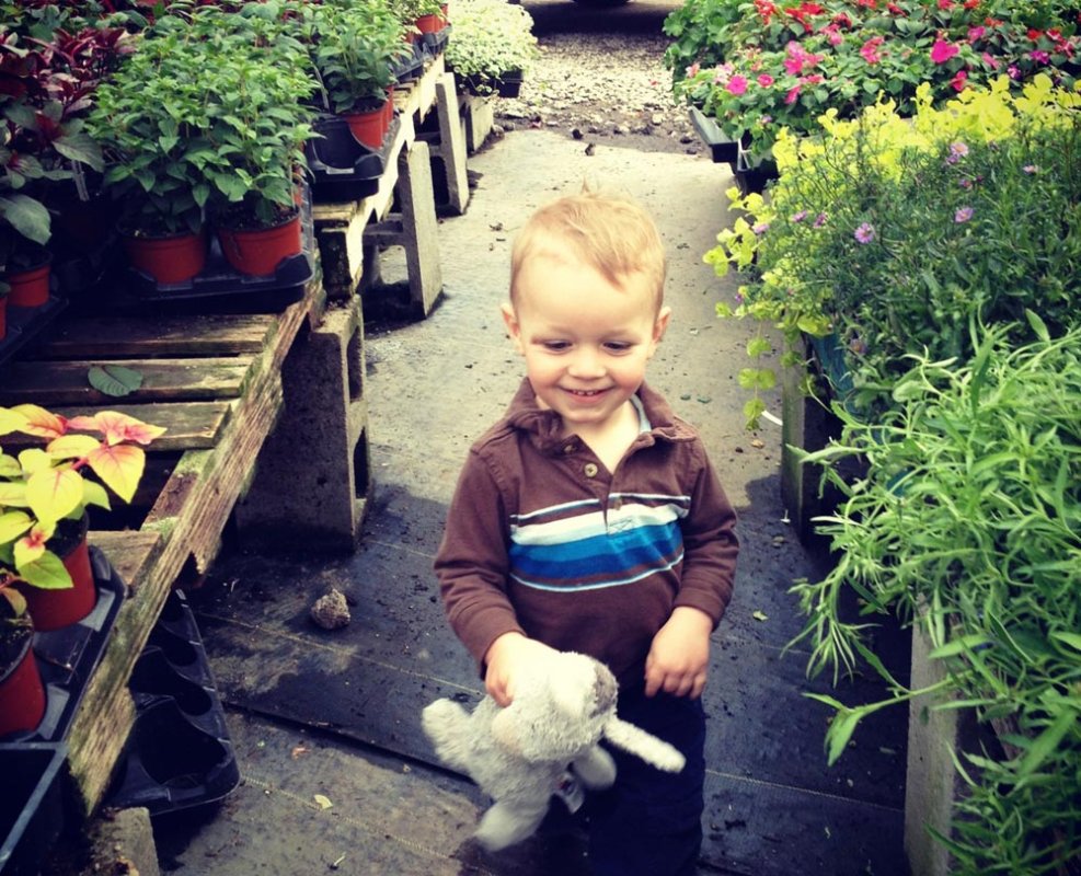 Paşi pe cărarea recunoştinţei 87033