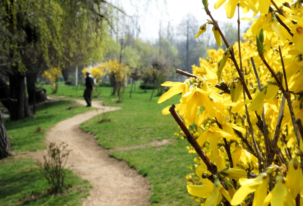 A eutanasia înseamnă a suprima o viaţă 86984