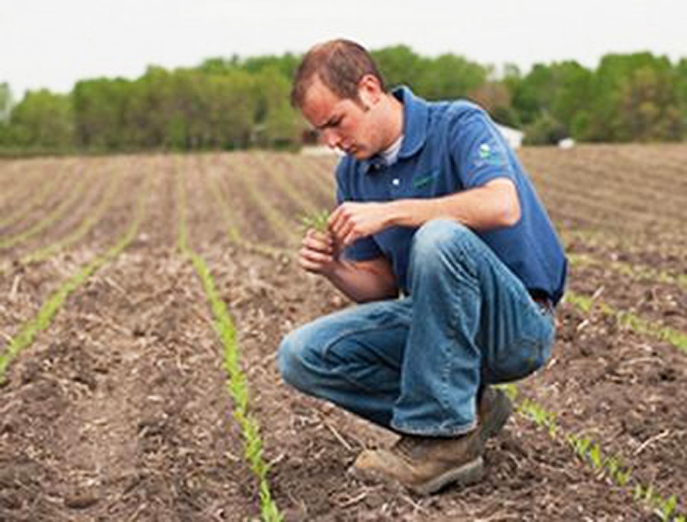 Micii fermieri cer mai mult sprijin de la autorităţi 86762