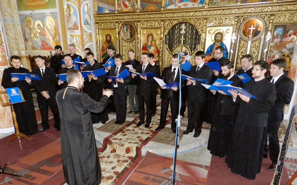 Festival-concurs la Deva 86408