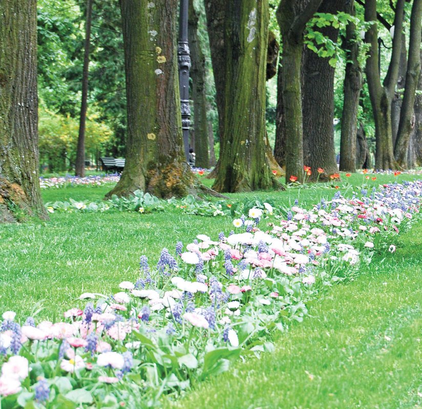 Dreptul la un mediu înconjurător sănătos, garantat prin Constituţie 86126