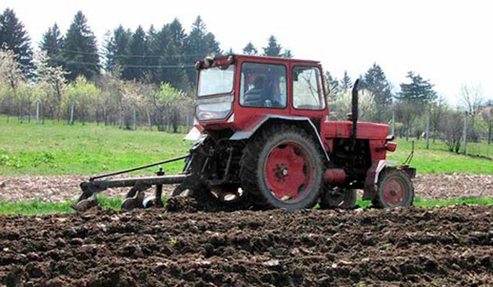 Subvenţii mai mari pentru fermierii care arendează terenurile 85930