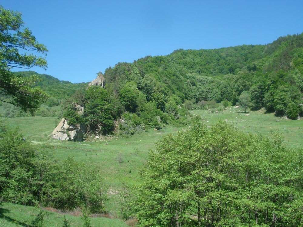 Munţii noştri aur poartă... 85847